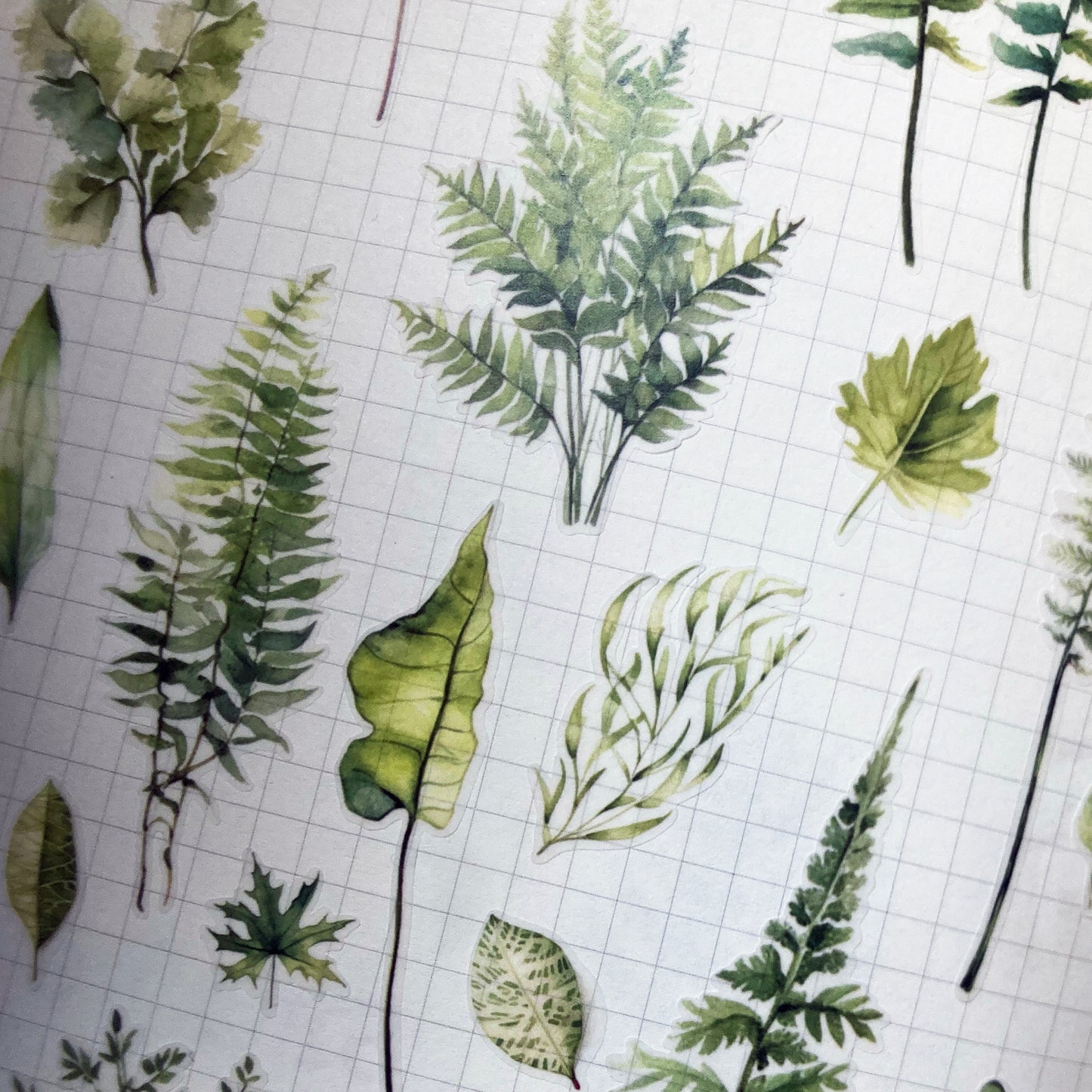 Greenery Leaves Planner Stickers Adhesive Aesthetic Botanicals Plants Stickers for Calendar Scrapbooking Embellishment DIY Art Crafts Journaling Accessories for Planners and Nature Lovers
